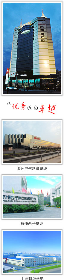 德力西官方旗艦店公司簡介 德力西官方旗艦店公司簡介