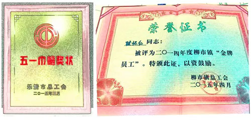 德力西電氣 德力西官網(wǎng) 德力西人的驕傲 德力西的成就 德力西的榮譽(yù) 歷史 發(fā)展