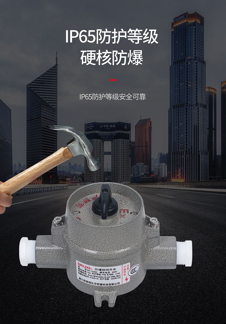 德力西SW-10防爆照明開關(guān) 壓鑄鋁合金外殼表面噴塑 增安型外殼 內(nèi)裝隔爆型照明開關(guān) 防塵防水 防護等級IP65