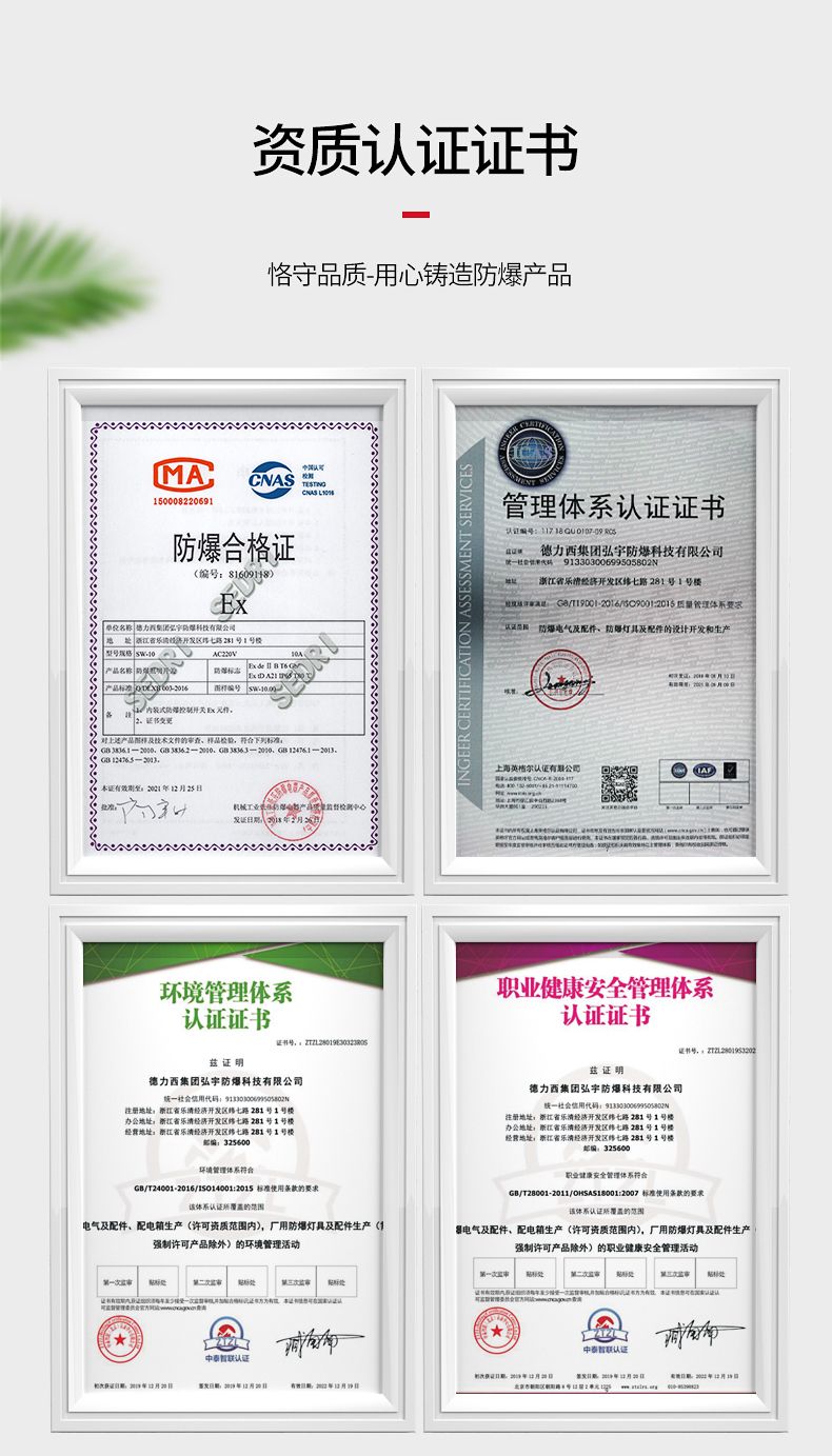 德力西SW-10防爆照明開關(guān) 壓鑄鋁合金外殼表面噴塑 增安型外殼 內(nèi)裝隔爆型照明開關(guān) 防塵防水 防護等級IP65