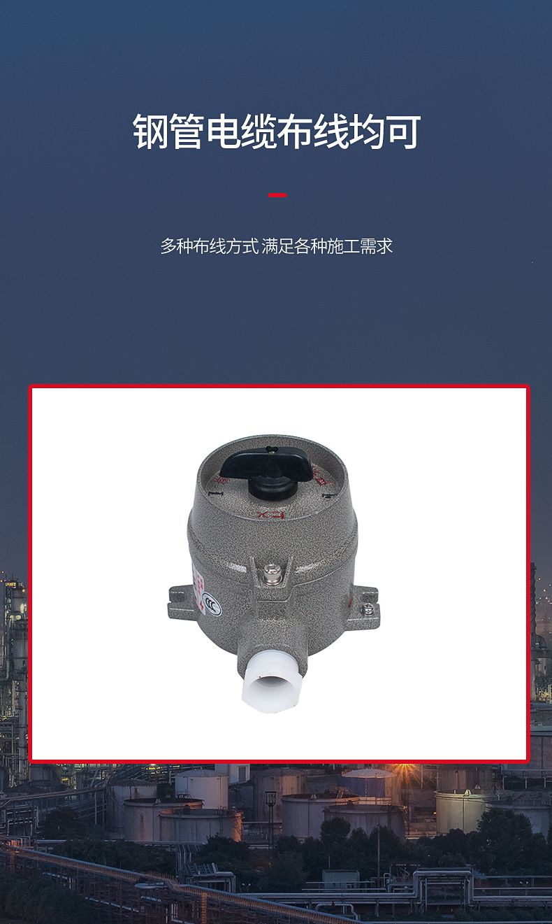 德力西SW-10防爆照明開關(guān) 壓鑄鋁合金外殼表面噴塑 增安型外殼 內(nèi)裝隔爆型照明開關(guān) 防塵防水 防護等級IP65