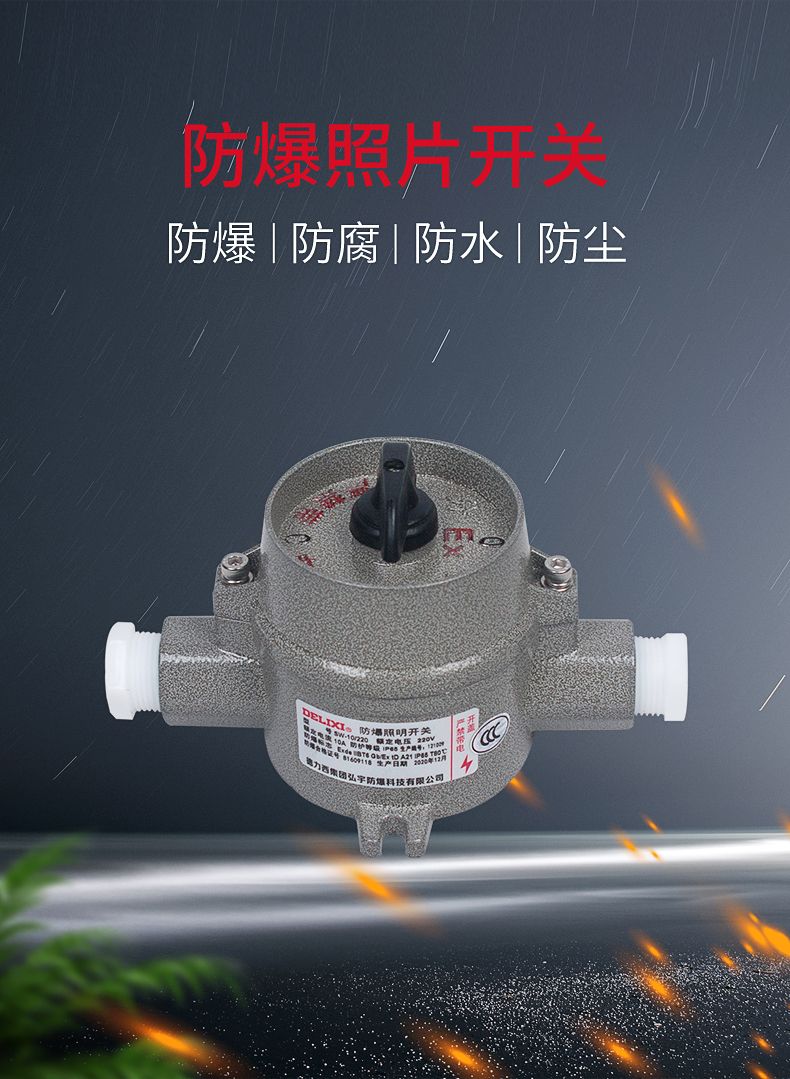 德力西SW-10防爆照明開關(guān) 壓鑄鋁合金外殼表面噴塑 增安型外殼 內(nèi)裝隔爆型照明開關(guān) 防塵防水 防護等級IP65